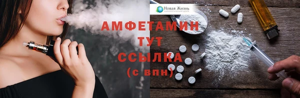 стаф Богданович