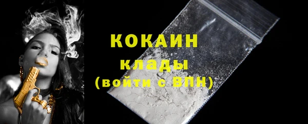 стаф Богданович