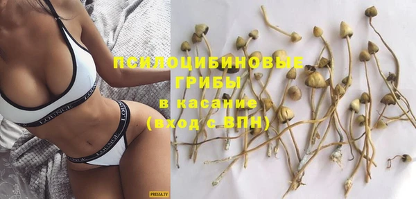 стаф Богданович
