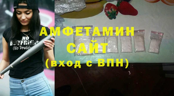 стаф Богданович
