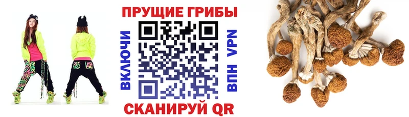 hydra ТОР  Благодарный  Галлюциногенные грибы MAGIC MUSHROOMS 