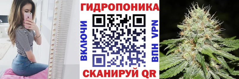 Канабис VHQ  ссылка на мегу как зайти  Благодарный  магазин  наркотиков 
